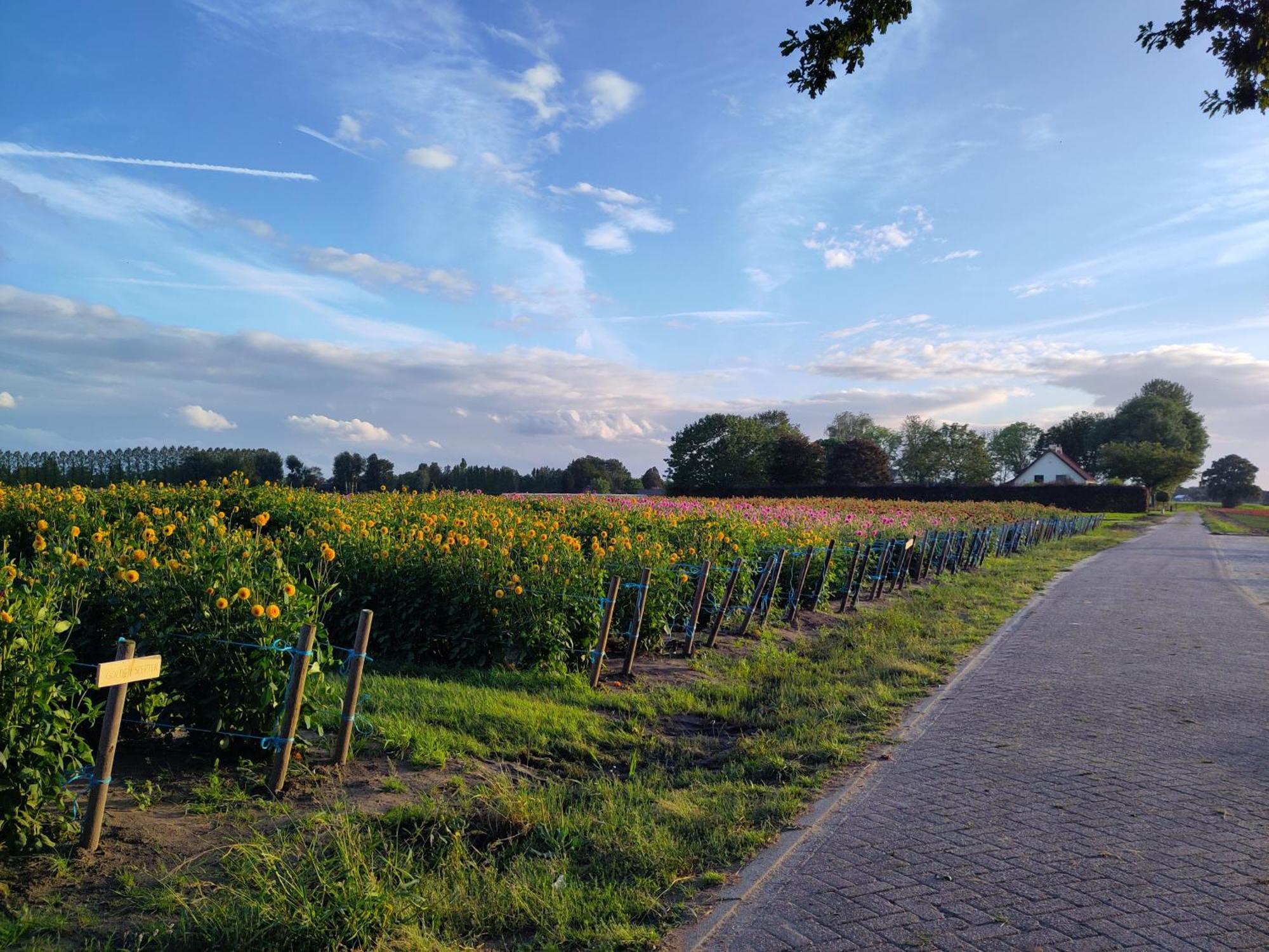 'T Voske Bed & Breakfast Zundert Luaran gambar
