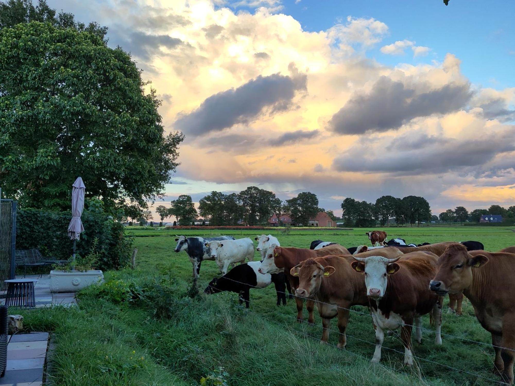 'T Voske Bed & Breakfast Zundert Luaran gambar